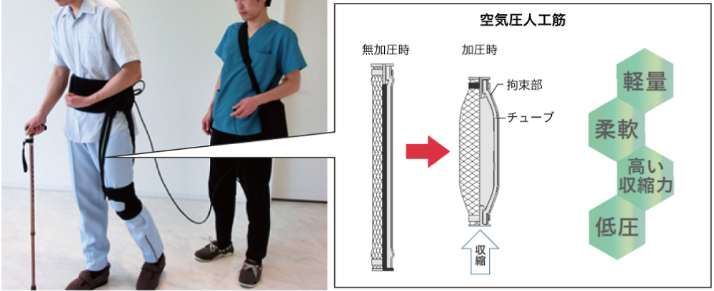 DARWING 補助ベルト ポンプ付き DARWING Power Assist Walk（ダーウィン パワーアシストウォーク