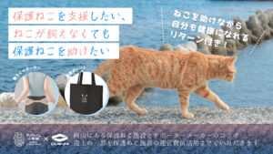 医療用品メーカー×保護ねこ施設のコラボ企画】姿勢をサポートする骨盤