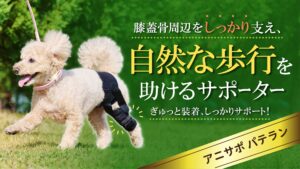 株式会社anifull】自然な歩行を支援する犬用膝サポーター「アニサポ パテラン」をMakuakeにてクラウドファンディング開始！ | ニュース |  ダイヤ工業株式会社 サポーター・コルセット・アシストスーツ等の医療用品メーカー