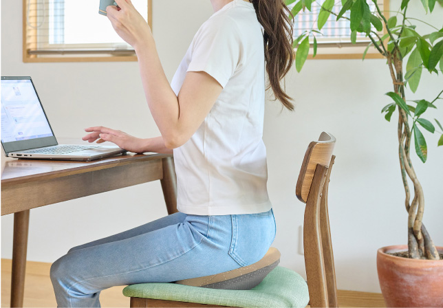 Newmee ローリングクッション | 製品詳細 | ダイヤ工業株式会社